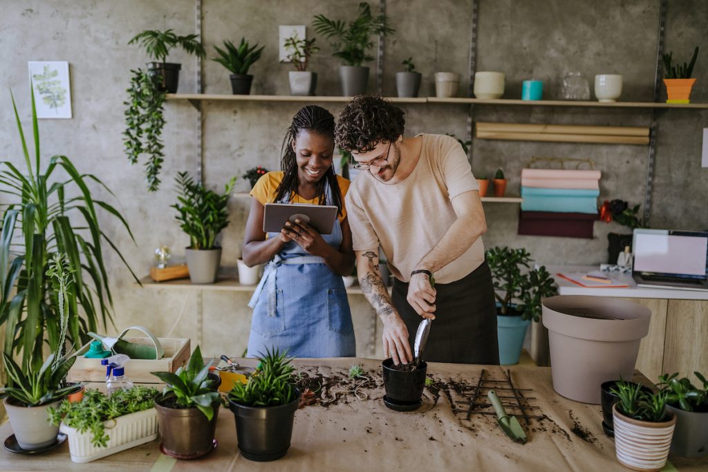 Florists Using Digital Tablet in Store