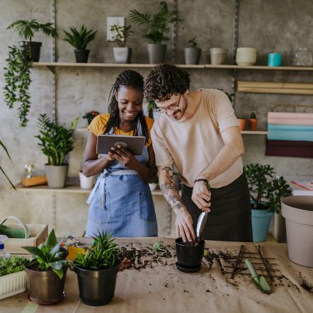 Florists Using Digital Tablet in Store